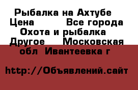 Рыбалка на Ахтубе › Цена ­ 500 - Все города Охота и рыбалка » Другое   . Московская обл.,Ивантеевка г.